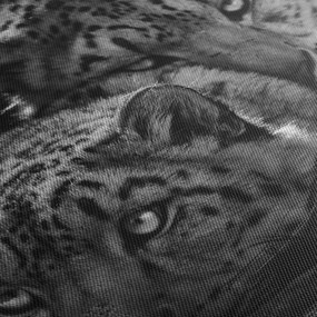 Tablou - Gheparzi care se odihnesc (120x50 cm)