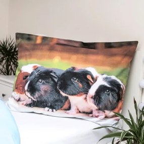 Animale Set de lenjerie de pat cu porcușor de Guineea 140×200cm, 70×90 cm
