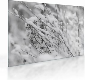 Tablou pe sticlă - Ramuri înzăpezite (70x50 cm)