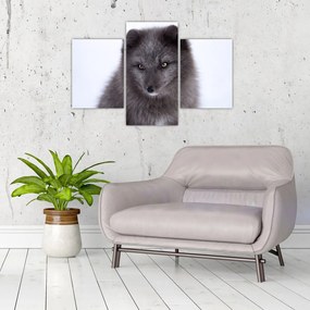 Tablou cu vulpe polară (90x60 cm)