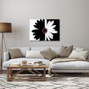Tablou - Floare, alb- negru (70x50 cm)