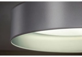 Plafonieră LED Duolla ROLLER LED/24W/230V d. 45 cm argintiu