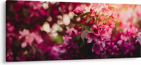 Tablou cu florile tufișului înflorit (120x50 cm)