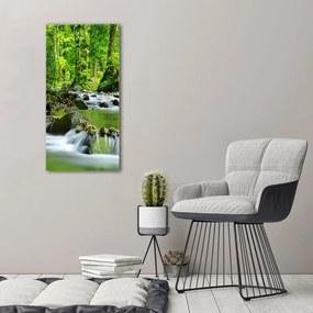 Tablou pe pânză canvas Branhii