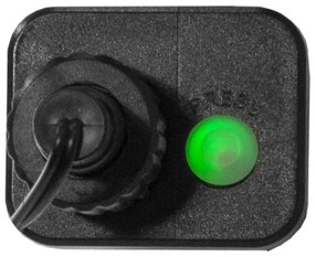 Instalație LED de Crăciun de exterior BERRY MINI 300xLED/8 funcții 11m IP44 alb cald Eglo