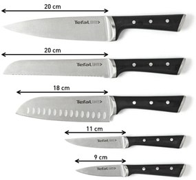 Bloc cu 5 cuțite Ice Force - Tefal
