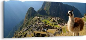 Tablou - Lama și Machu Picchu (120x50 cm)
