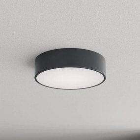 Brilagi - Plafonieră pentru baie CLARE 2xE27/24W/230V Ø 30 cm antracit IP54