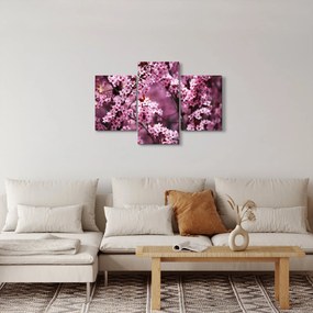 Tablou - Sakura roz (90x60 cm)