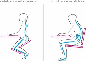 Scaun ergonomic, petrol/ fag, FLONET