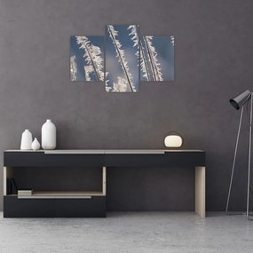 Tablou - Îngheț (90x60 cm)