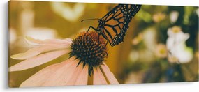 Tablou cu fluture pe floare (120x50 cm)