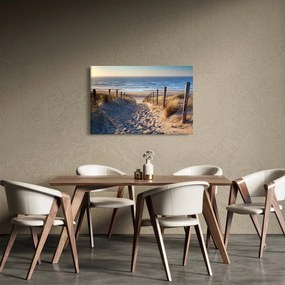 Tablou - Drum spre plaja din Marea Nordului, Țările de Jos (90x60 cm)