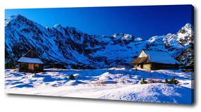Tablou pe pânză canvas Case în munții tatra