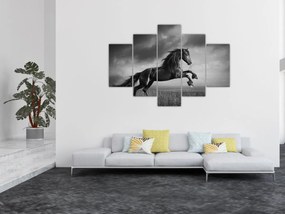 Tablou - Cal alb și negru (150x105 cm)