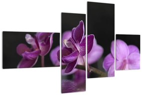 Tablou - flori (110x70cm)
