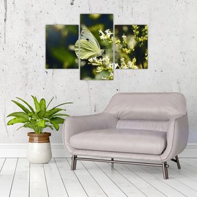 Tablou cu fluture (90x60 cm)