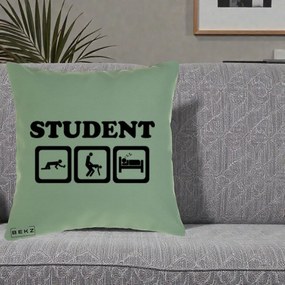 Perna Decorativa Student Life, 40x40 cm, Verde, Husa Detasabila, Perna Inclusa, BEKZ®