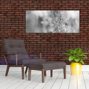 Tablou - Iarbă de pampas Boho (120x50 cm)