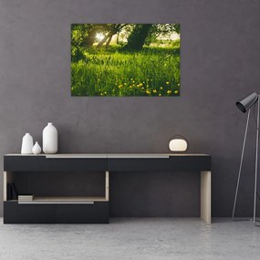 Tablou cu natura - lunca (90x60 cm)