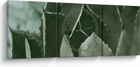 Tablou - Agave verde (cu ceas) (90x30 cm)