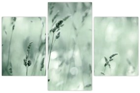 Tablou - Pajiște verde (90x60 cm)