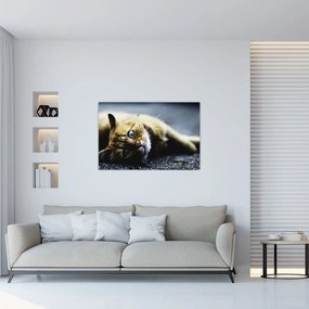Tablou cu pisica (90x60 cm)