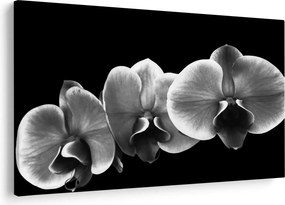 Tablou floare de orhidee (90x60 cm)