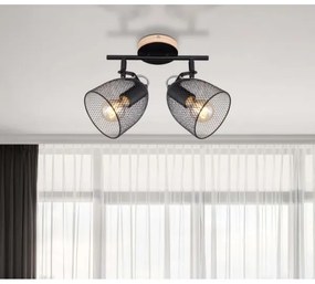 Spot JOSINA 2xE27/60W/230V Globo 54034-2