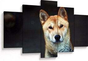 Tablou cu câine (150x105 cm)