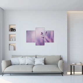 Tablou - Fluturi mov (90x60 cm)