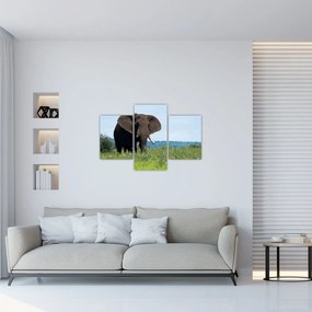 Tablou cu elefant (90x60 cm)