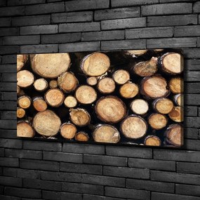 Tablou canvas Busteni