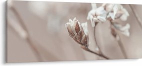 Tablou - Detaliu ramură (120x50 cm)