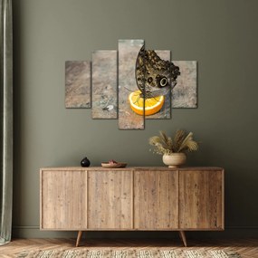 Tablou cu fluturi (150x105 cm)