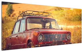 Tablou cu mașină în câmp (120x50 cm)