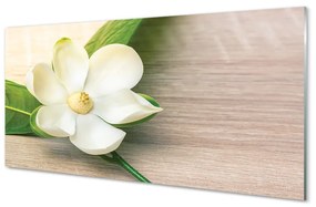 Tablouri acrilice magnolie alb