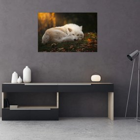 Tablou - Lupul care se odihnește (90x60 cm)