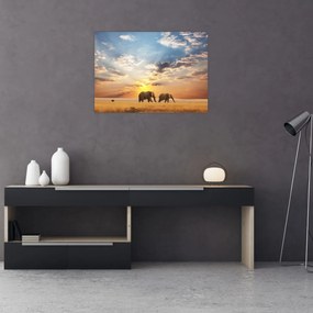 Tablou pe sticlă - Elefanți rătăcind în savană (70x50 cm)