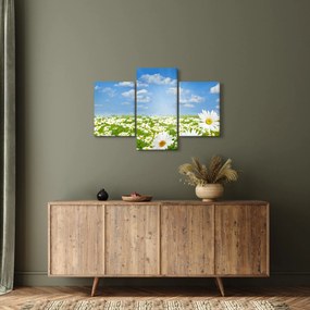 Tablou cu luncă înflorită cu margarete (90x60 cm)