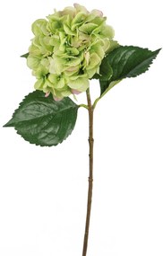 Floare artificiala hortensie, Fibre artificiale, Verde, 71 cm
