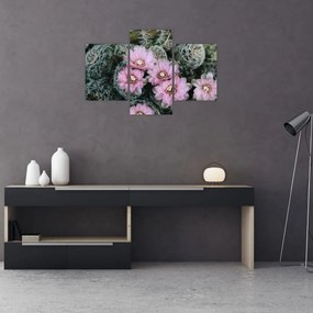 Tablou floare de cactus (90x60 cm)