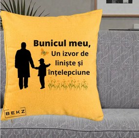 Cadou pentru Bunic - Perna Personalizata Bunicul Meu Izvor de Liniste cu Fluture si Baietel, 40x40 cm, Galben, Husa Detasabila, Perna Inclusa, BEKZ®