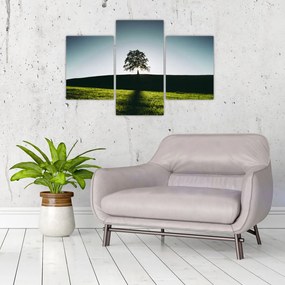 Tablou cu natura - copac (90x60 cm)