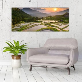 Tablou - Terase de orez (120x50 cm)