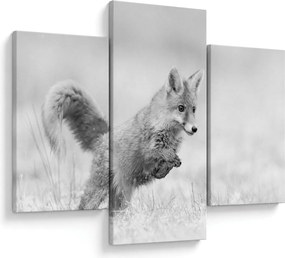 Tablou - Vulpe care sare,alb-negru (90x60 cm)