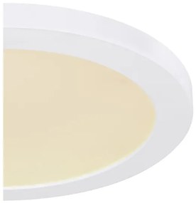 Plafonieră LED Globo 12379-24W LASSE LED/24W/230V