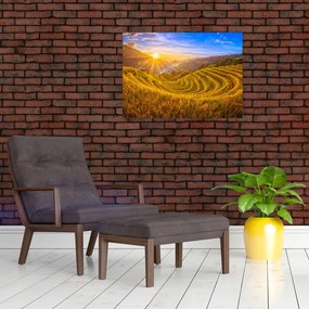 Tablou pe sticlă - Terasele de orez din Vietnam (70x50 cm)