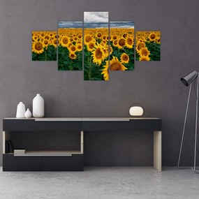 Tablou câmpului de floarea soarelui (125x70 cm), în 40 de alte dimensiuni noi