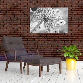 Tablou - Floare în timpul iernii (90x60 cm)